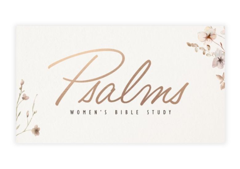 Psalms Bible study graphic designed by SDG Digital Design located in Libertyville, IL