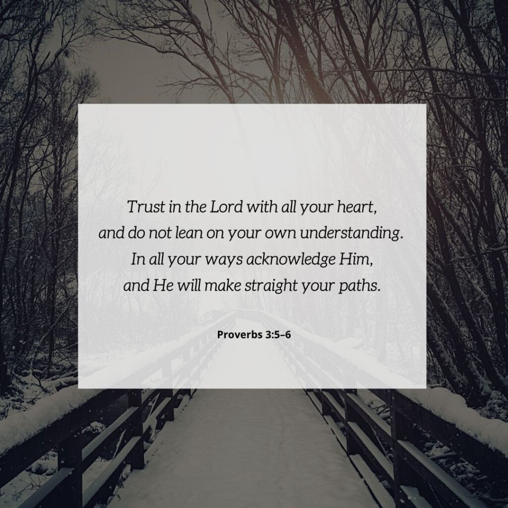 Proverbs 3:5–6 Scripture verse graphic for social media designed by SDG Digital Design in Libertyville, IL